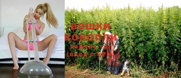 бошки Новодвинск
