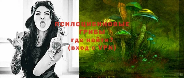 бошки Новодвинск