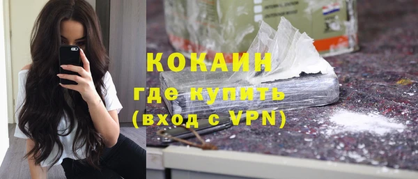 бошки Новодвинск