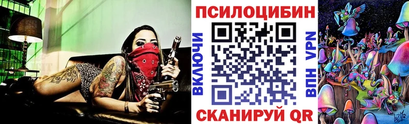 где купить наркоту  Власиха  Галлюциногенные грибы мицелий 